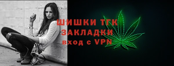 прущий лед Алзамай