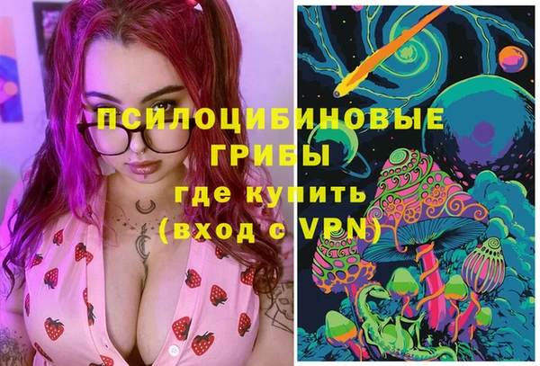бошки Алексеевка