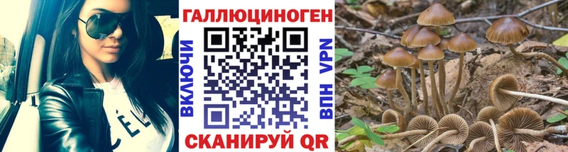 Псилоцибиновые грибы GOLDEN TEACHER Цимлянск